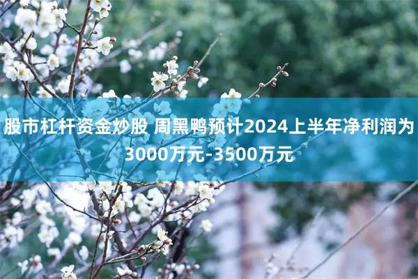 股市杠杆资金炒股 周黑鸭预计2024上半年净利润为3000万元-3500万元