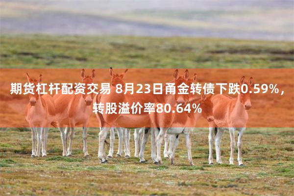 期货杠杆配资交易 8月23日甬金转债下跌0.59%，转股溢价率80.64%