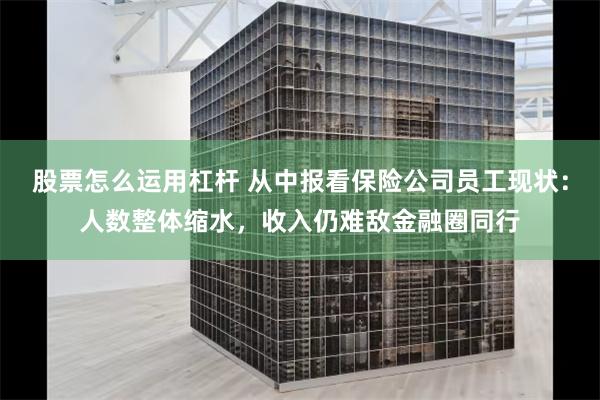 股票怎么运用杠杆 从中报看保险公司员工现状：人数整体缩水，收入仍难敌金融圈同行