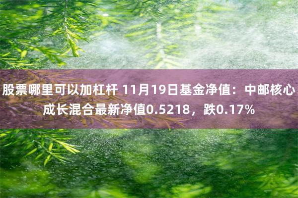 股票哪里可以加杠杆 11月19日基金净值：中邮核心成长混合最新净值0.5218，跌0.17%