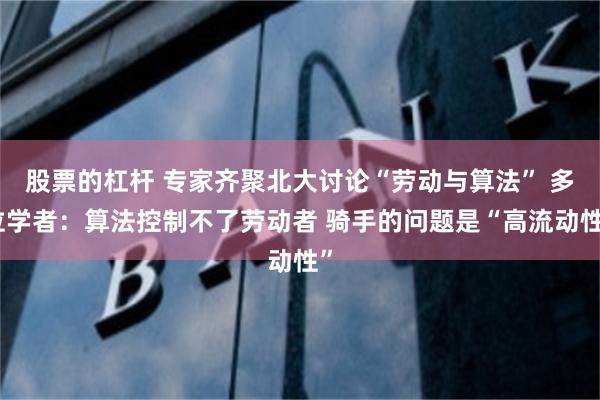 股票的杠杆 专家齐聚北大讨论“劳动与算法” 多位学者：算法控制不了劳动者 骑手的问题是“高流动性”