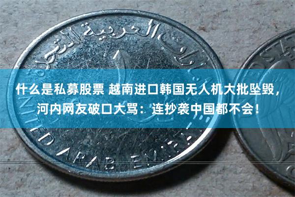 什么是私募股票 越南进口韩国无人机大批坠毁，河内网友破口大骂：连抄袭中国都不会！