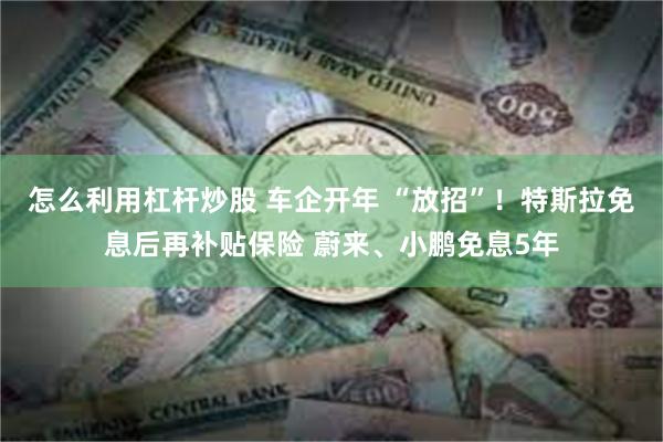 怎么利用杠杆炒股 车企开年 “放招”！特斯拉免息后再补贴保险 蔚来、小鹏免息5年